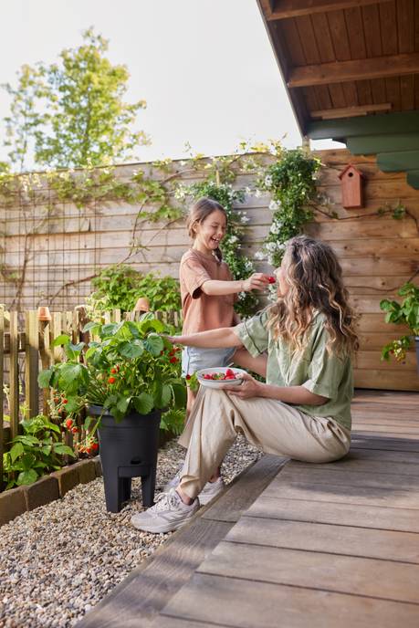 green basics pot à fraises 33cm living noir